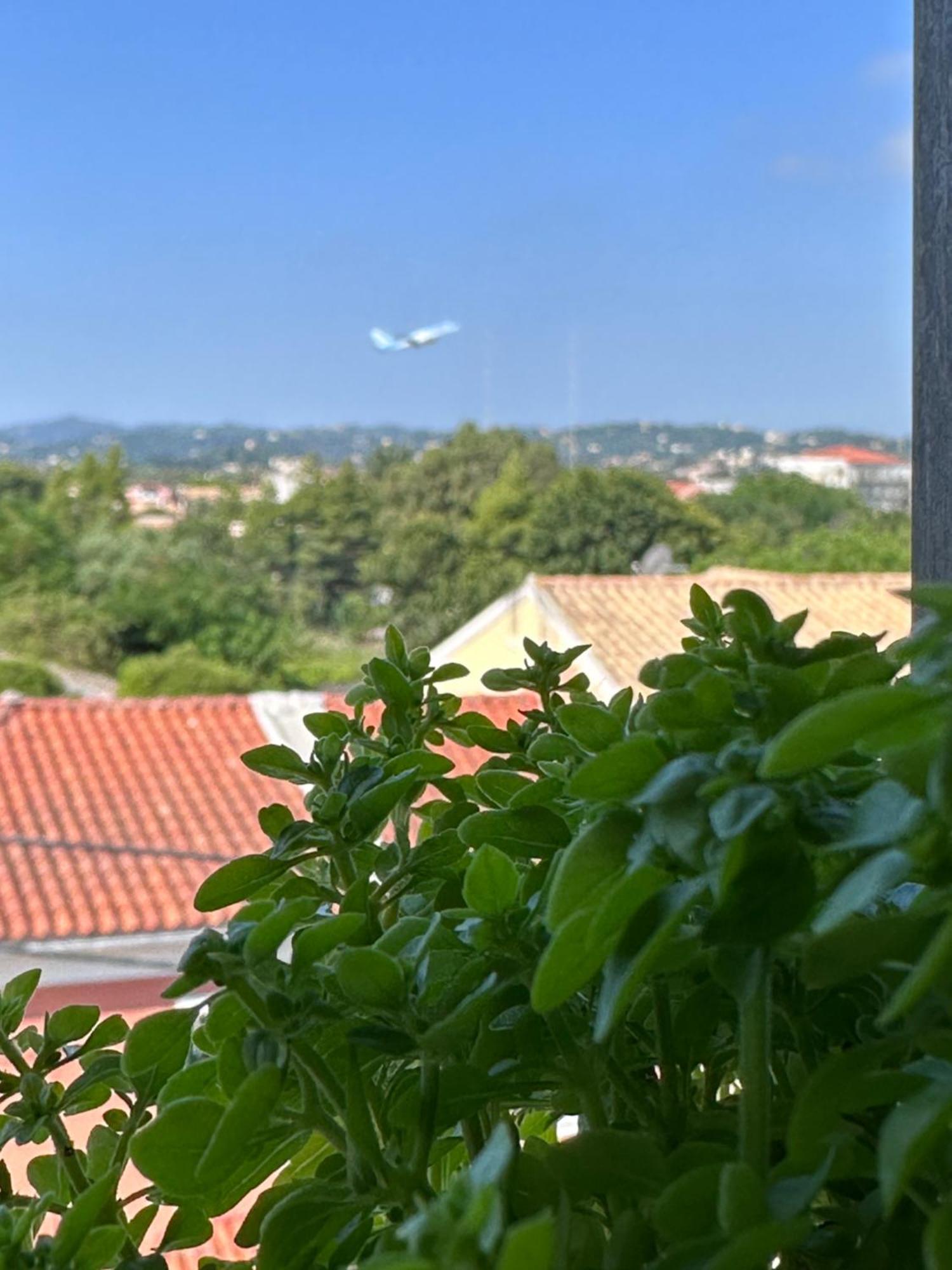 Olia Apartment Corfu  外观 照片